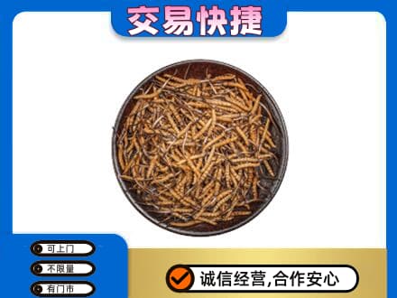 漯河舞阳县回收散虫草
